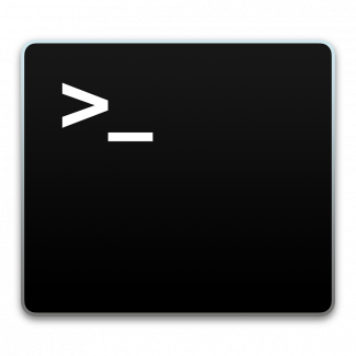 A black terminal with white text showing the command line prompt: >_
